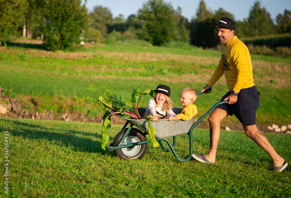 custom made wallpaper toronto digitalHappy father and his children playing with a wheelbarrow on a sunny autumn day..