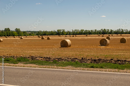 hay rolls along the road
