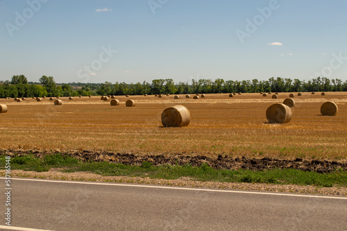 Wallpaper Mural hay rolls along the road Torontodigital.ca