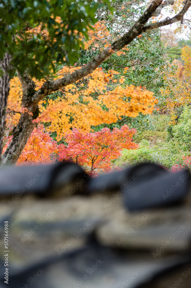 光明寺(兵庫県神戸市北区)の紅葉