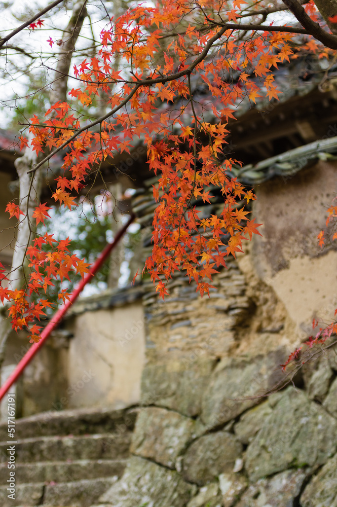 光明寺(兵庫県神戸市北区)の紅葉