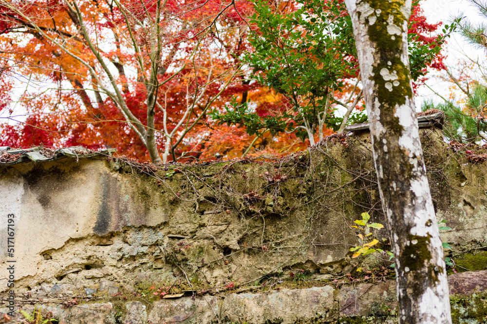 光明寺(兵庫県神戸市北区)の紅葉