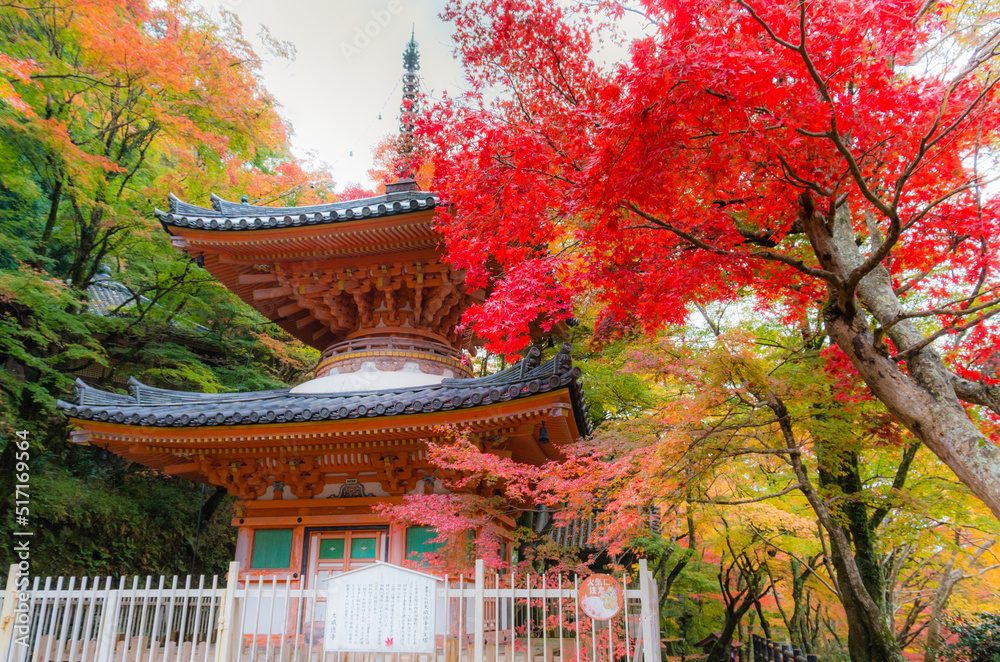 大威徳寺（大阪府岸和田市）の紅葉