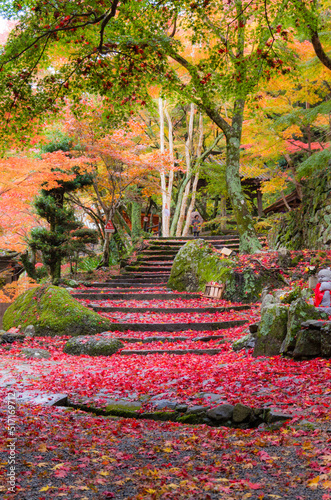 Obraz na płótnie 大威徳寺(大阪府岸和田市)の紅葉 w salonie