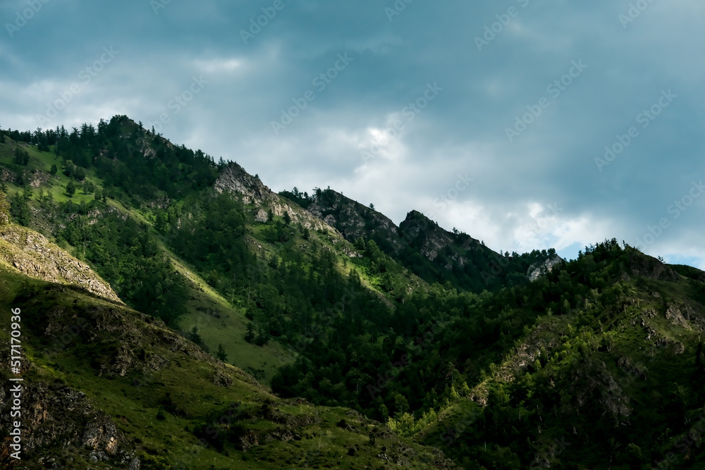 The mountains are overgrown with green trees. Pine trees, Christmas trees in the mountains. Nature of Canada. Nature of Russia. The nature of the United States. The mountains are overgrown with green trees. Pine trees, Christmas trees in the mountains. Nature of Canada. Nature of Russia. The nature of the United States.