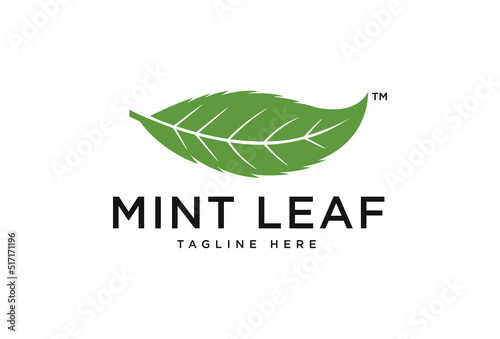 mint leaf logo design. organic logo concept template