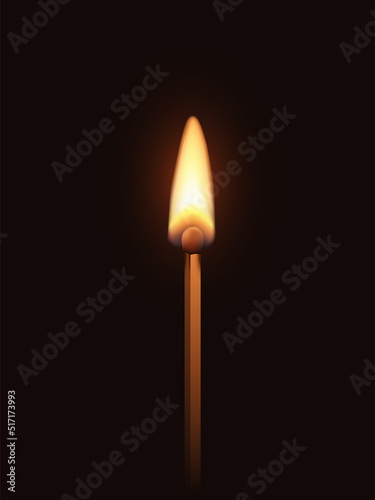 Match stick with flame, 3d realistic half burnt matchstick with bright hot flame