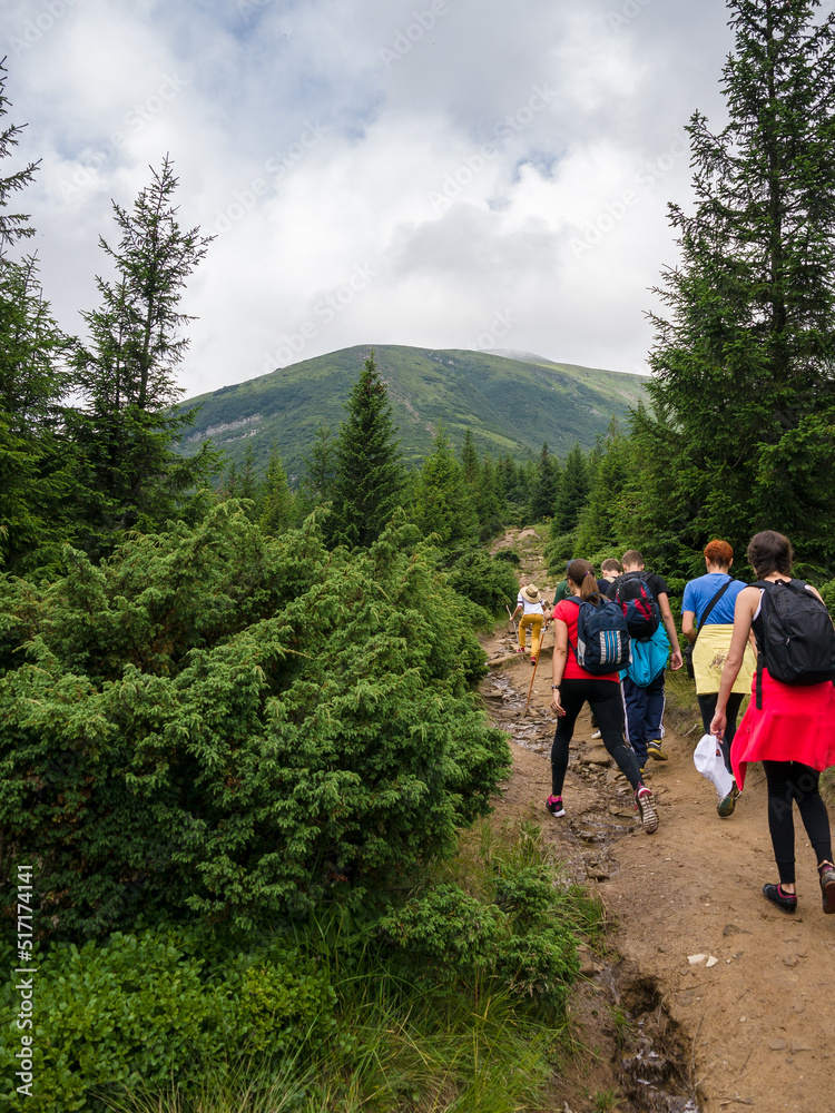 A group of tourists climbs the mountains on a cloudy summer day.  Ukraine, Carpathians, Hoverla