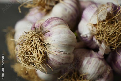 purple natural garlic,close-up bunch of garlic,fresh garlic heads,