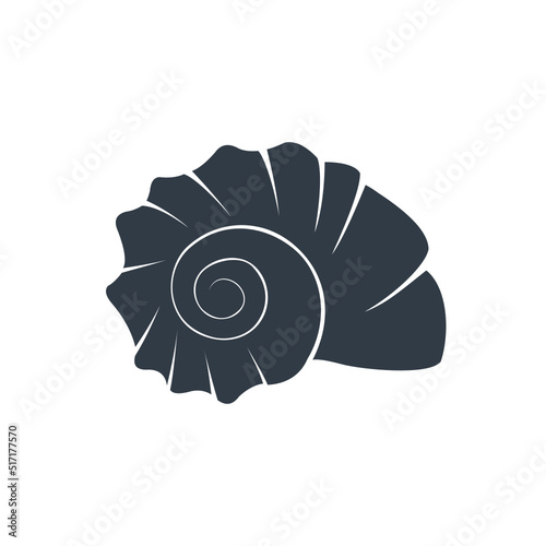 nautilus shell