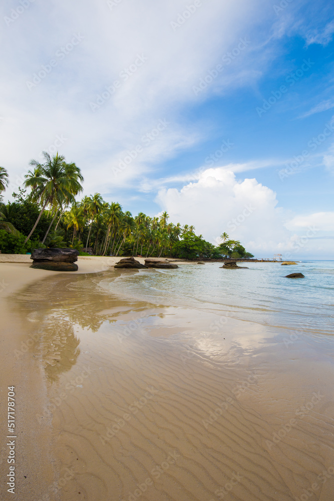 Island sea beach coconut palm tree against blue sky with cloud