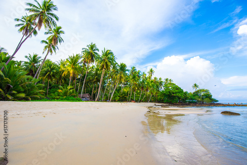 Fototapeta Naklejka Na Ścianę i Meble -  Island sea beach coconut palm tree against blue sky with cloud