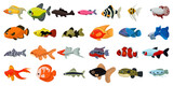 Aquarium tropical fish and cartoon ocean cute collection. Sea coral reef animals and underwater vector illustration. Water colorful marine set fish and decorative exotic pet icon. Undersea  seafood