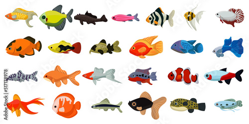 Fototapeta Naklejka Na Ścianę i Meble -  Aquarium tropical fish and cartoon ocean cute collection. Sea coral reef animals and underwater vector illustration. Water colorful marine set fish and decorative exotic pet icon. Undersea  seafood
