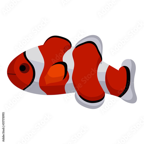 Clown fish aquarium water animal nature and vector underwater aquatic art. Tropical illustration fish with tail and fin. Beautiful decorative multicolored pet drawing and ichthyology coral reef