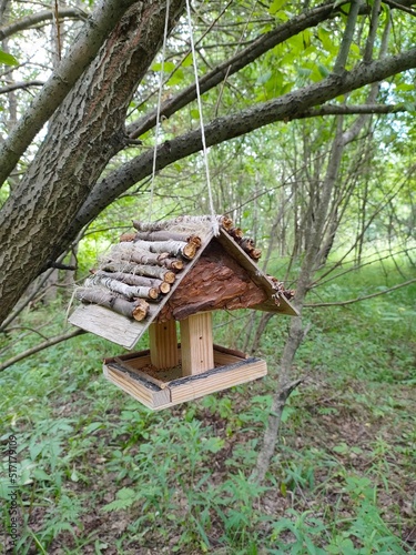Bird feeder in the forest on a tree © Onishchenko Tatyana