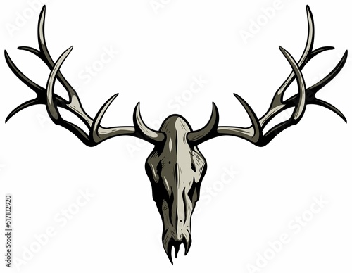 Foto Vector illustration of deer skull. Isolated on white background.