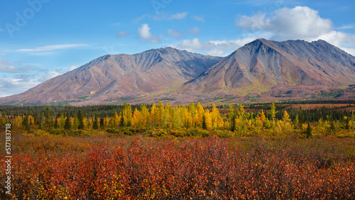 Alpine landscape in Denali National Park with mountains and vegetation in autumn colors, Alaska