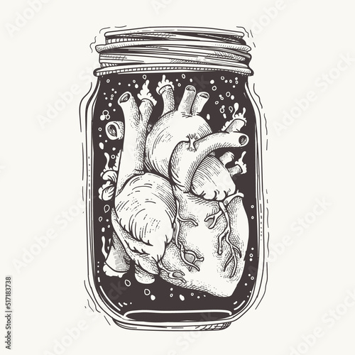 heart in a jar illustration 
