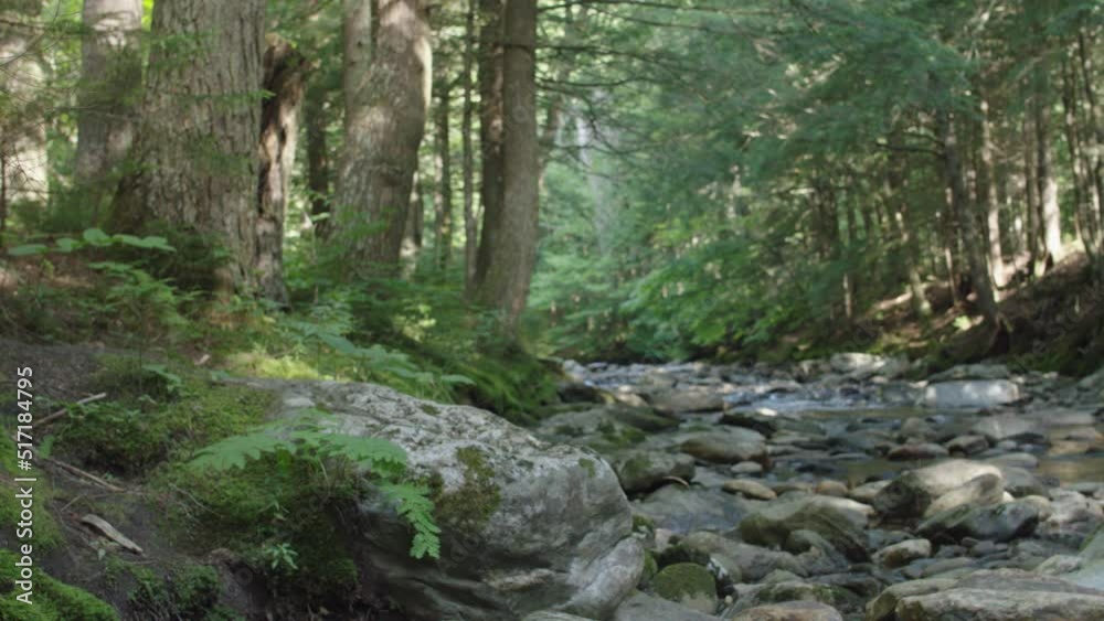 Mossy rocks along mountain brook with pan right 4 Mossy rocks along mountain brook with pan right 4