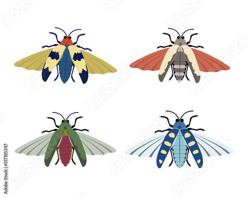 Vector collection of colorful bugs in flat. Can be used as a template for your design, stickers, logo, icons, apparel.