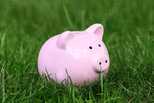 .Pink Piggy bank on green grass in summer, copy space. World crisis concept