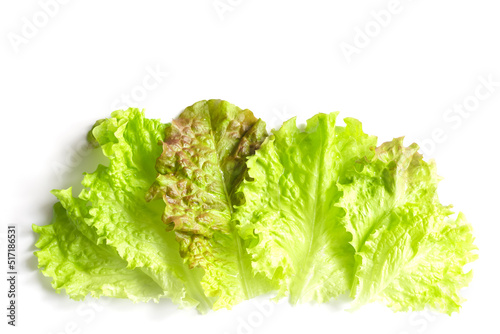 Lettuce leaves on a white background; close-up from above