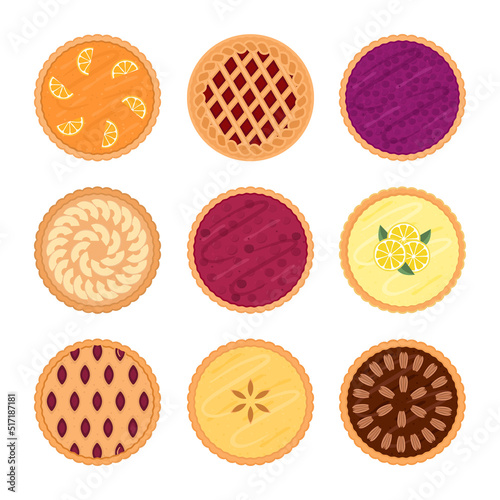 Set of different tasty fruit pies. Isolated on white background. Vector illustration. 
