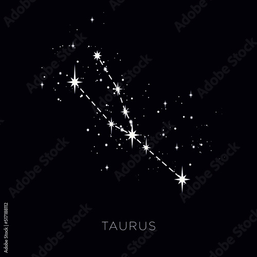 Star constellation zodiac taurus line vector