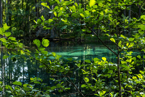 Beautiful turquoise natural spring wather in Ingbo national park in north o Sweden