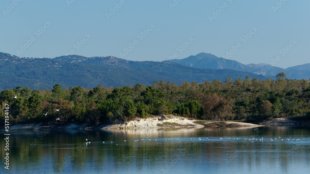 Alzitone lake in eastern plain of Corsica islans