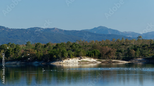 Alzitone lake in eastern plain of Corsica islans © hassan bensliman