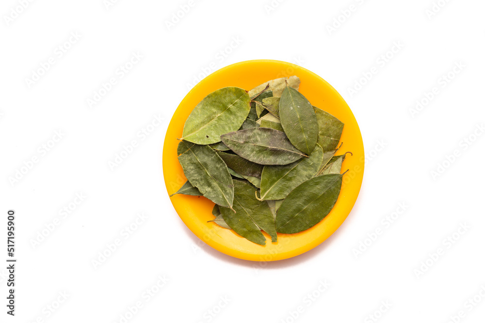 plato con hojas de coca sobre fondo blanco. Concepto de plantas. Stock