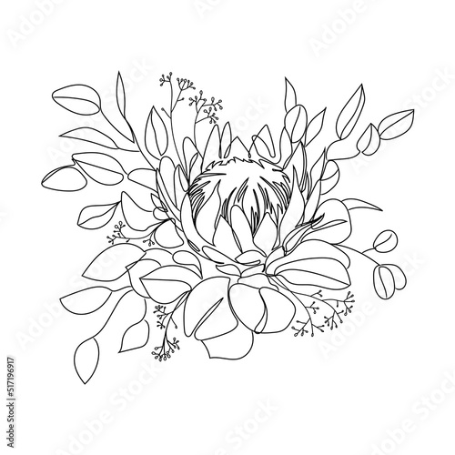 Fototapeta Naklejka Na Ścianę i Meble -  Bouquet with protea flowers,eucalyptus and leaves line art vector illustration isolated on white background.Black and white drawing of protea for wedding decoration and fashion print.Botanical sketch