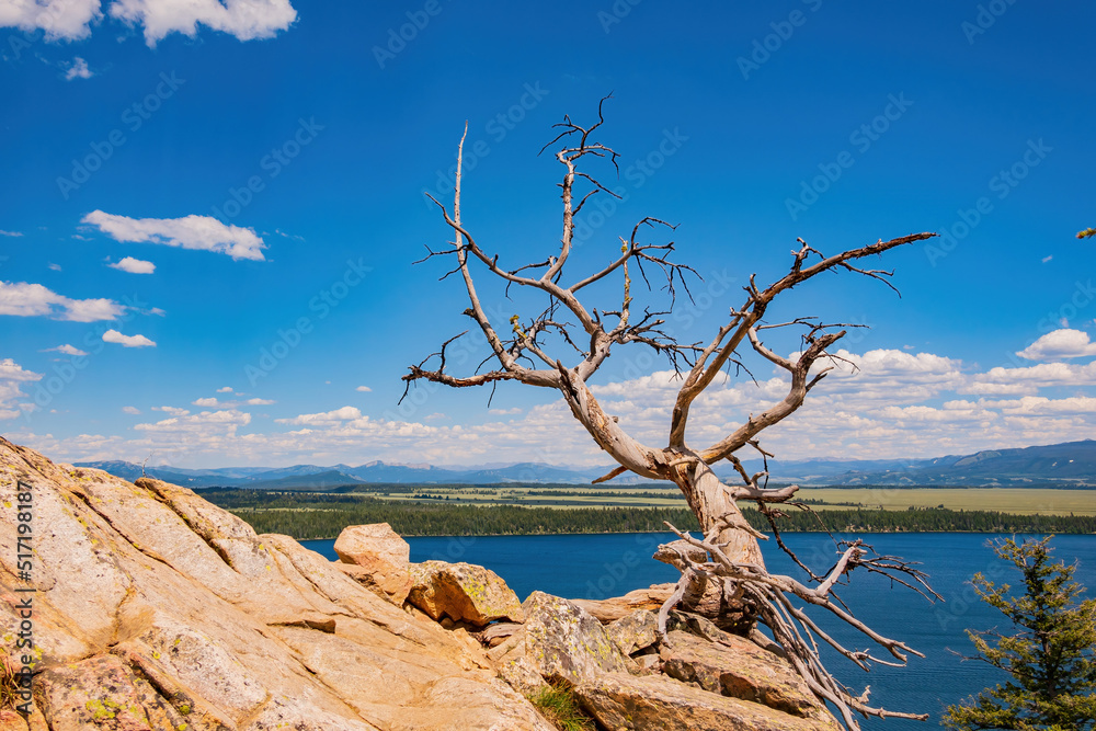 High angle view of the Jenny lake landscape of the Grand Teton National Park High angle view of the Jenny lake landscape of the Grand Teton National Park