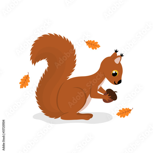 Cute cartoon squirrel with ear tufts and fluffy tail holding acorn. Vector design element. Flat illustration isolated on white background