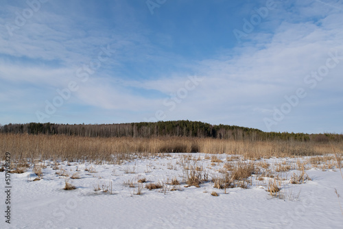 Wallpaper Mural landscape with snow and trees Torontodigital.ca