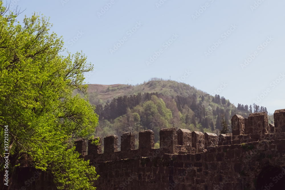 Fototapeta premium view of the stone fortress