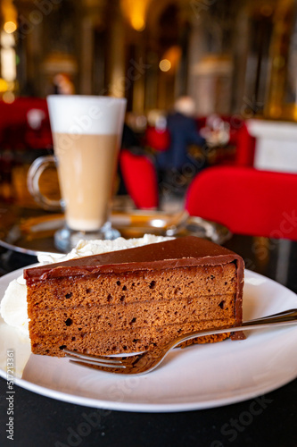Photography Piece of famous Sachertorte chocolate cake with apricot jam of Austrian origin s