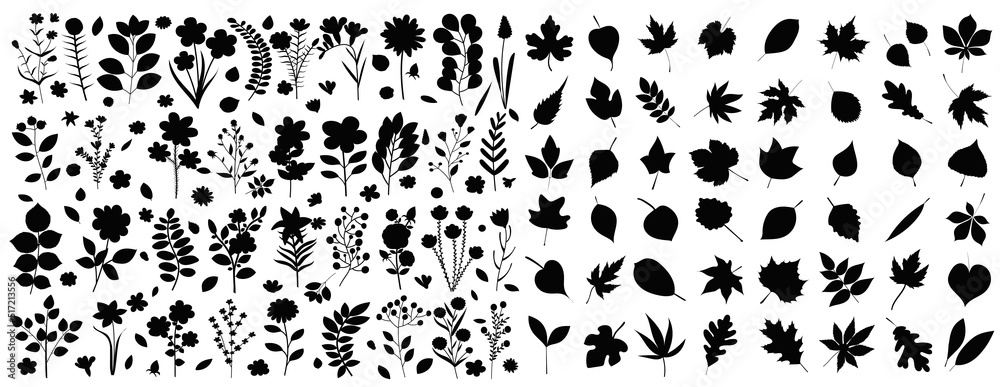 leaves, plants collection silhouette set isolated, vector