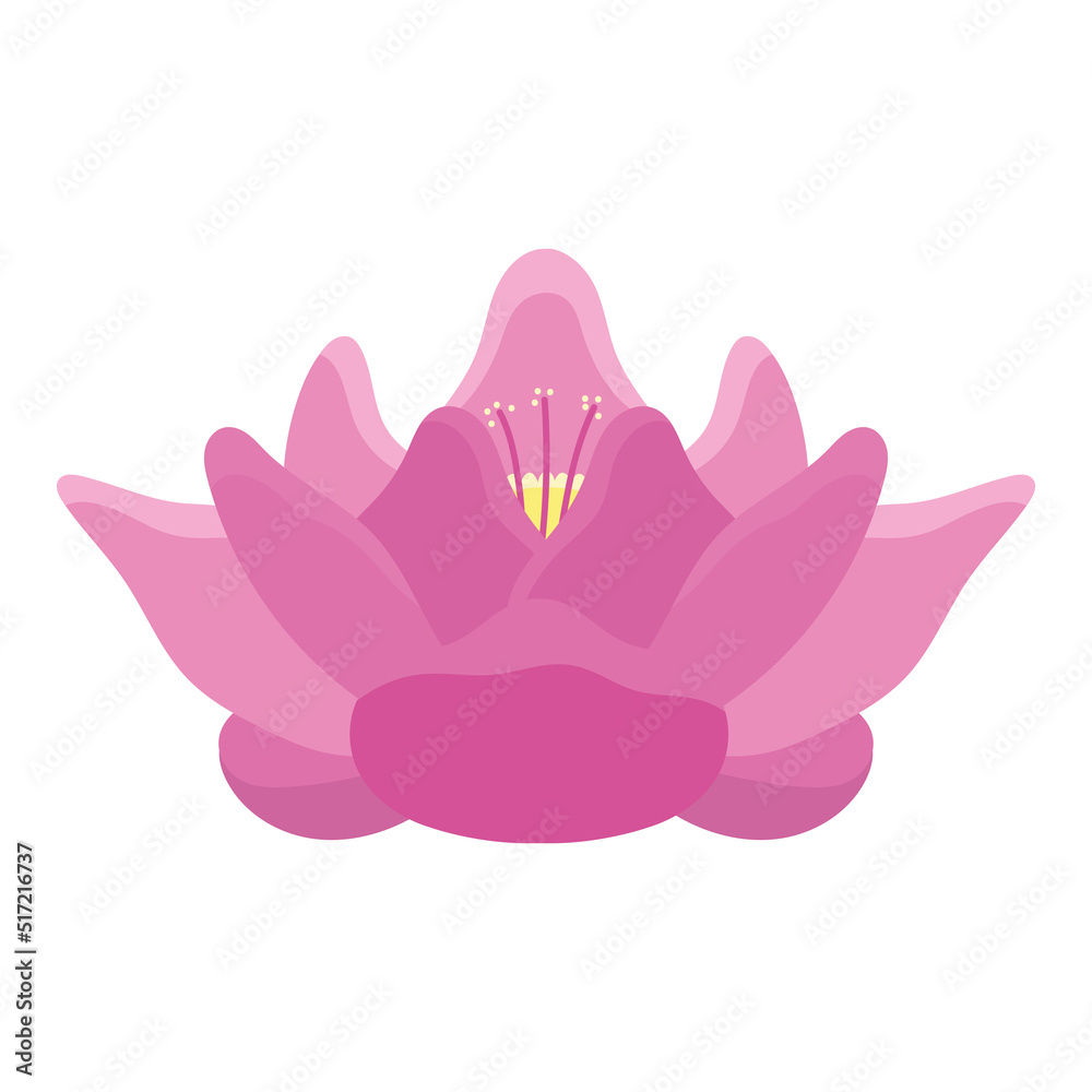 Fototapeta premium lotus flower garden
