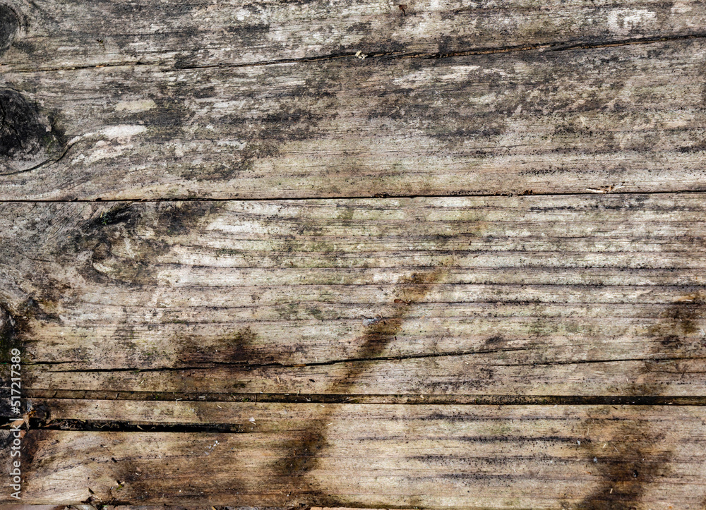 Fototapeta premium Old wood gray burnt texture