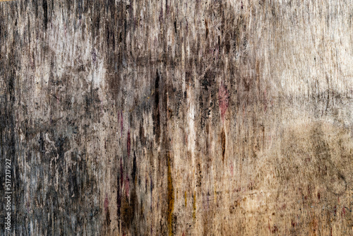 Pine wood texture