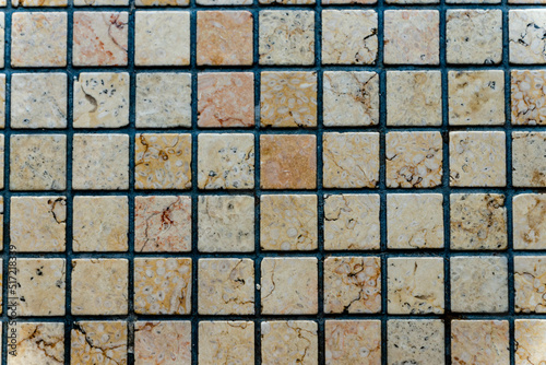 Marble cells texture