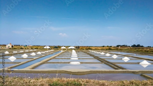 Salt marshes on the island of Noirmoutier, France photo