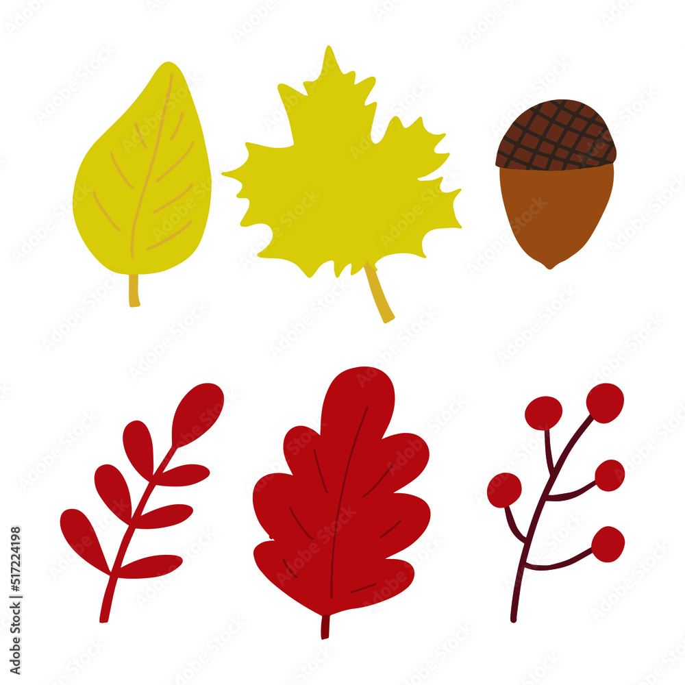 Obraz premium Autumn forest leaves and berries. Birch, oak, rowan, maple, acorn