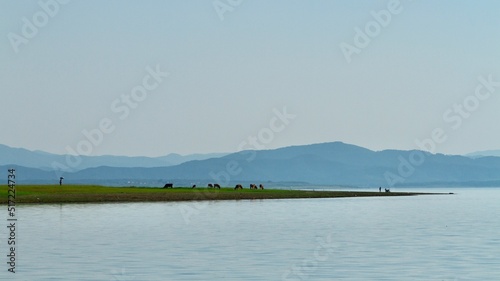 Lake at sunset. Wetland and Mountain landscape.