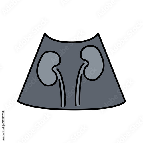 Ultrasound kidneys color line illustration
