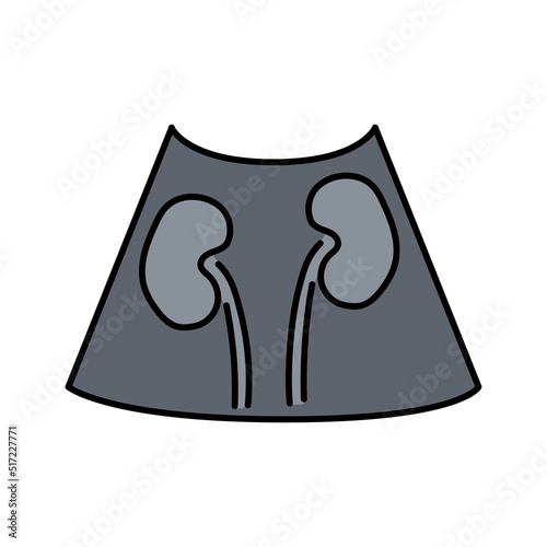 Lung kidneys color line illustration