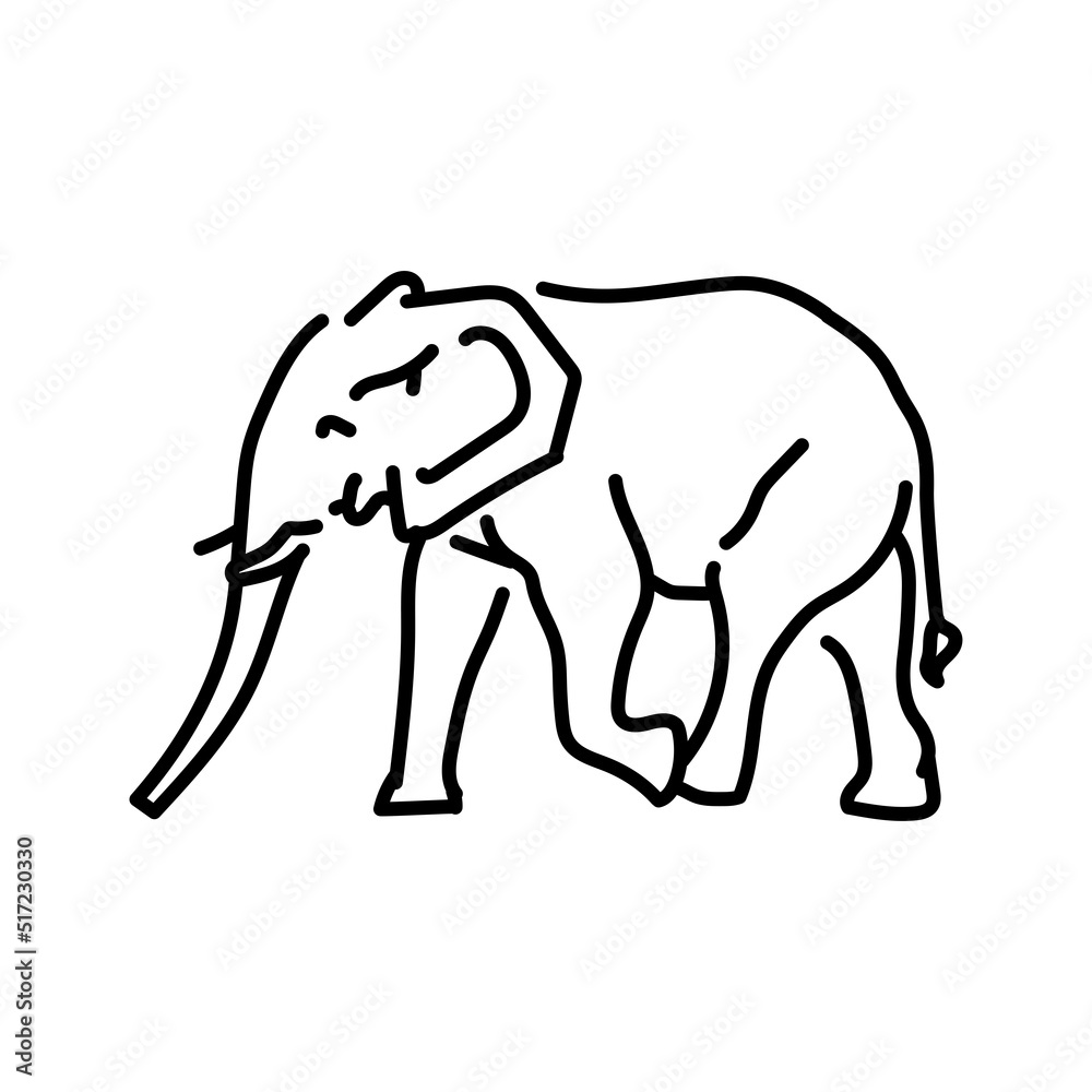 Obraz premium African elephant color line illustration